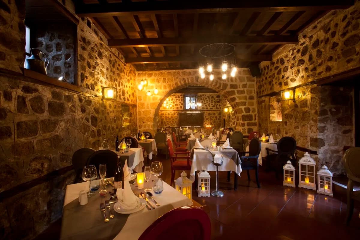 Alp Paşa Boutique Hotel - photo 4