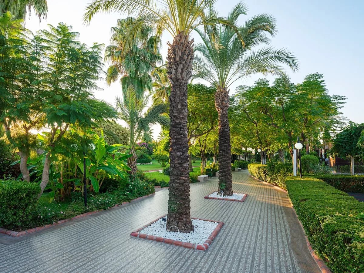 Aydınbey Famous Resort - photo 7