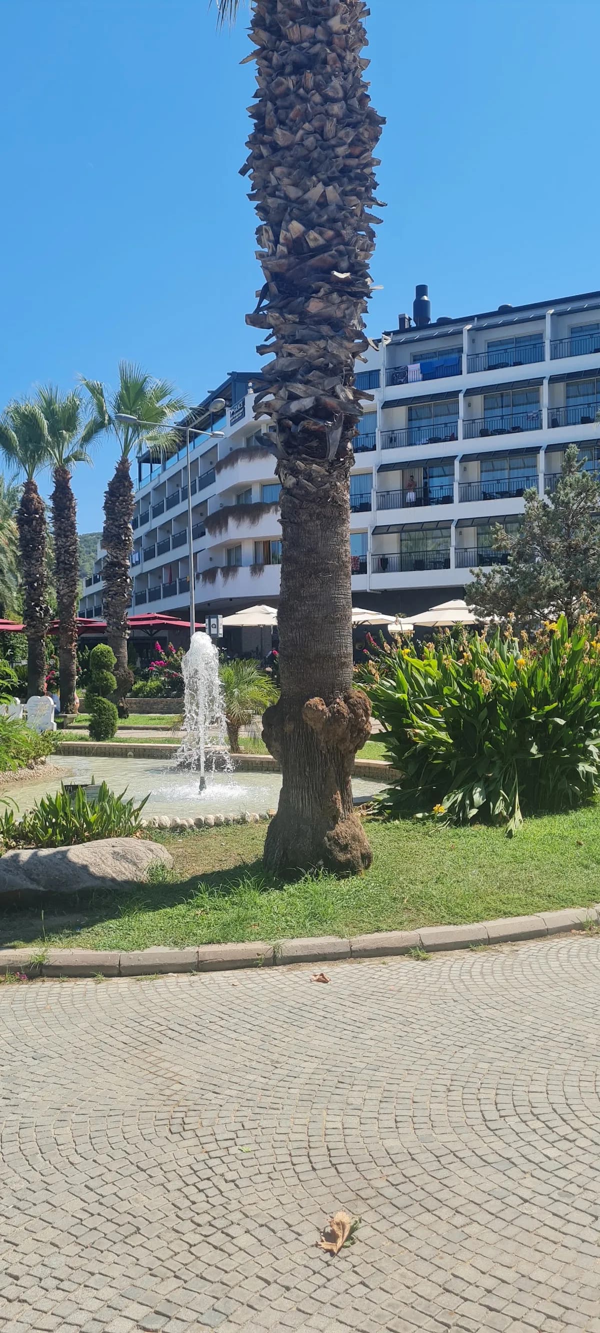 Queen's Park Turkiz Kemer - photo 4