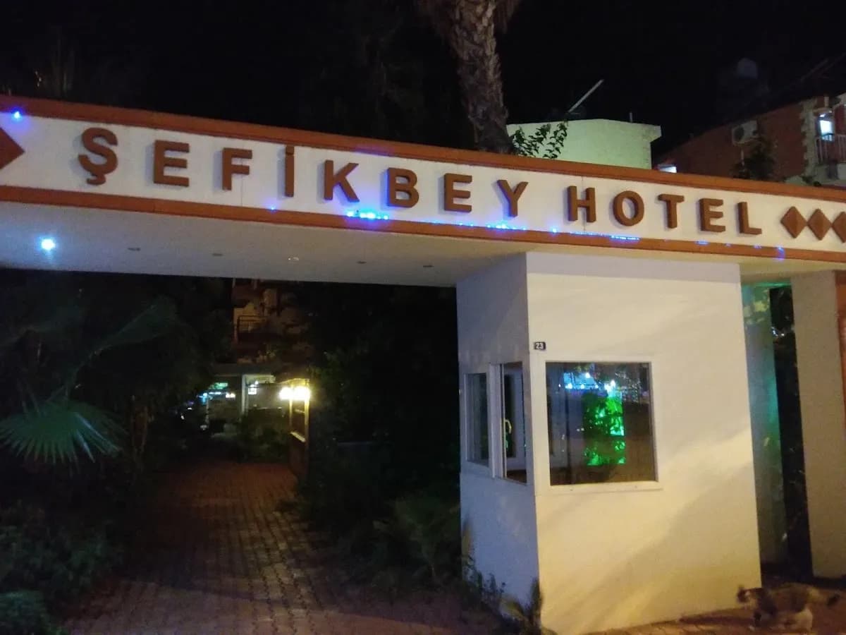 Şefik Bey Apart Otel - photo 9