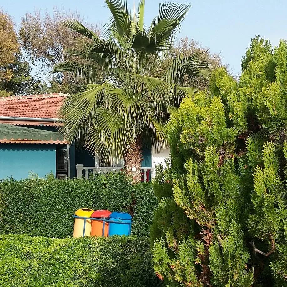 Side Altınkum Bungalow Hotel - photo 7