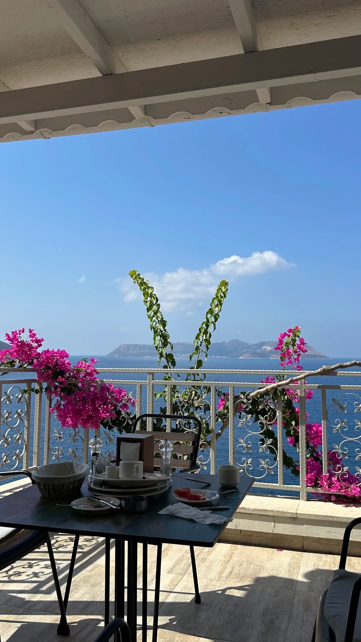Laurel Hotel - photo 10