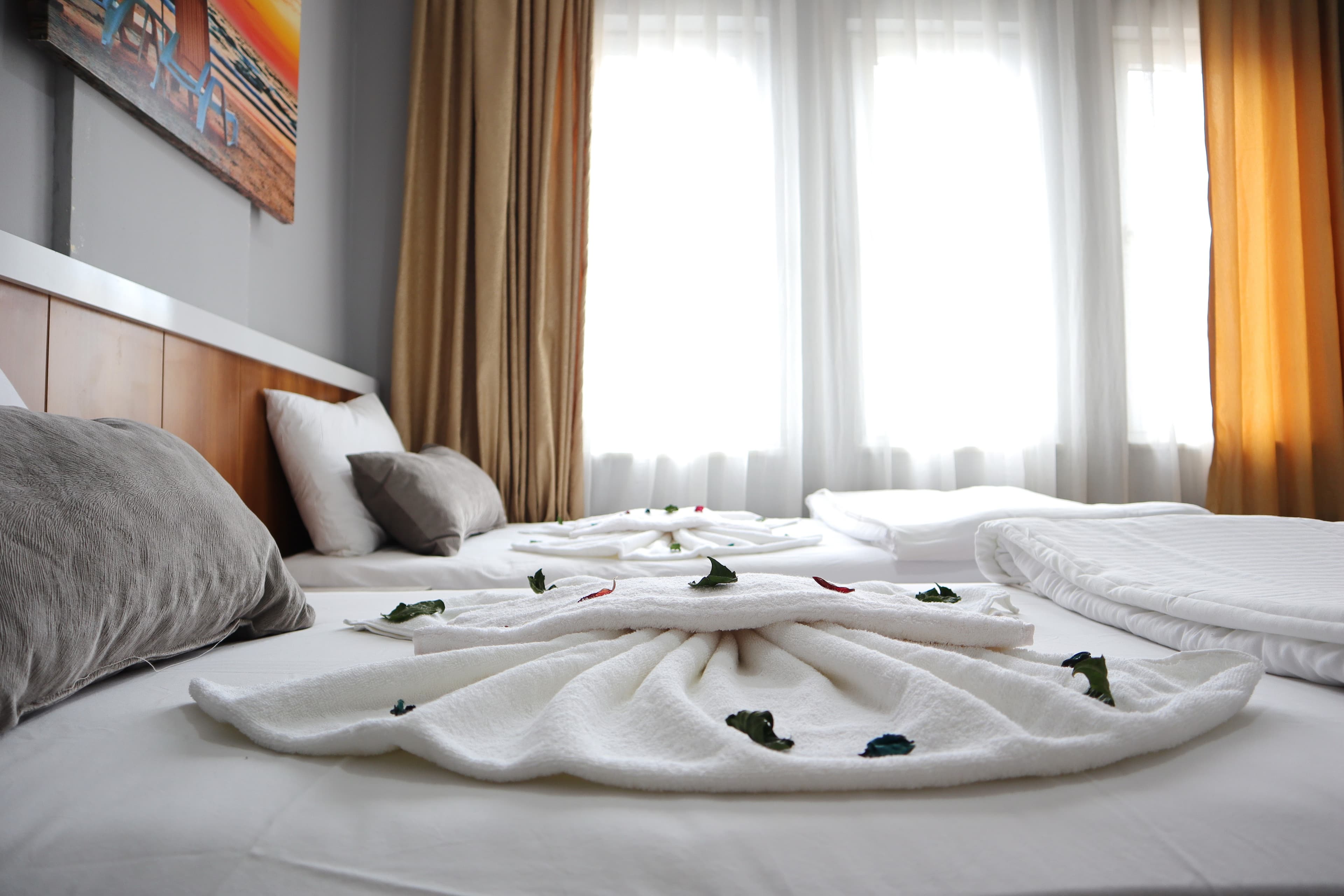 Kleopatra Icaria Apart Hotel - photo 6