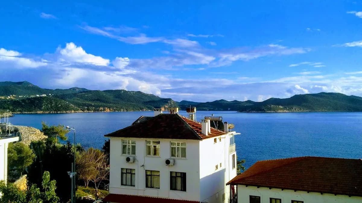 Erdem City Hotel - photo 4