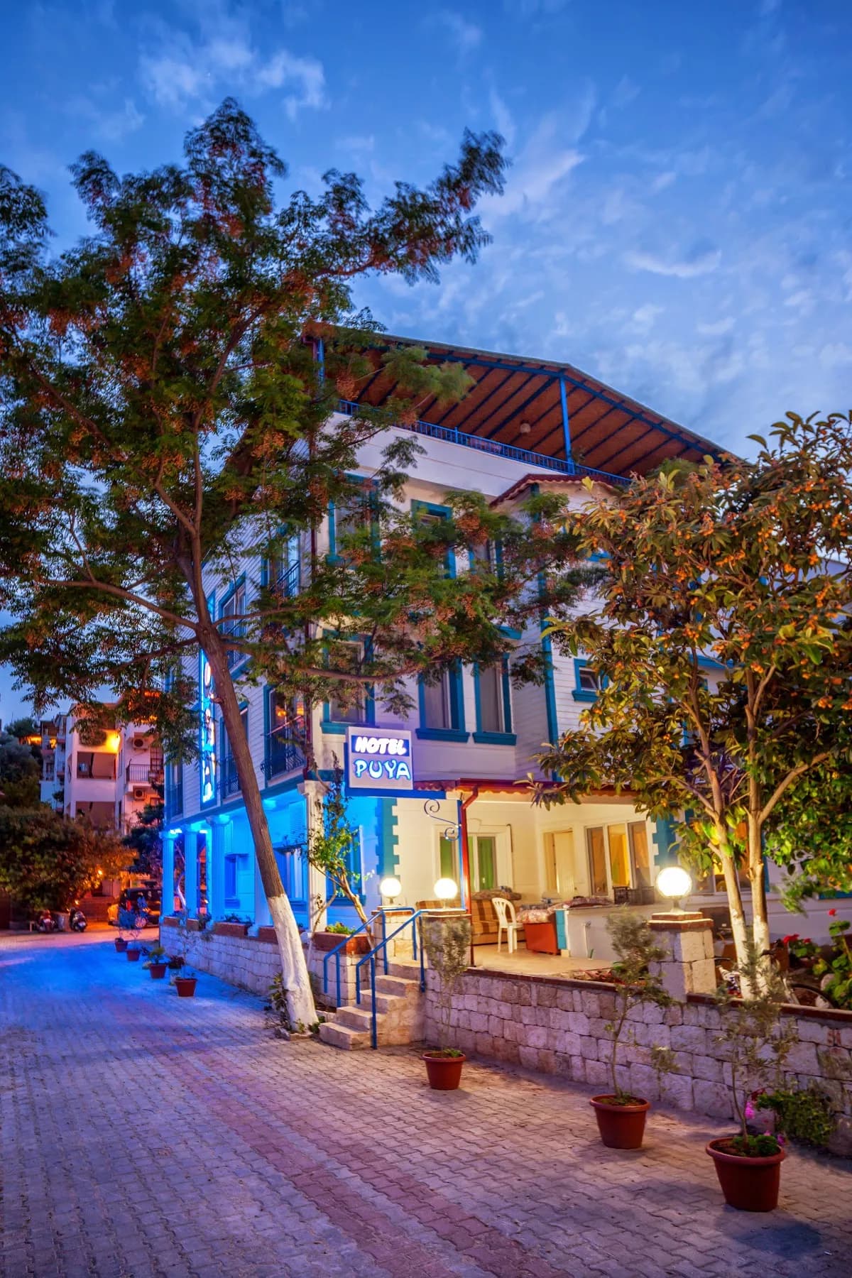 Hotel Puya - photo 5