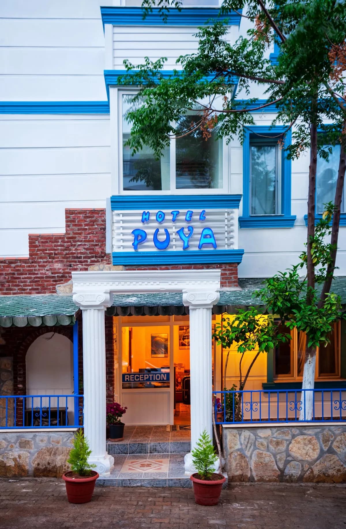 Hotel Puya - photo 6