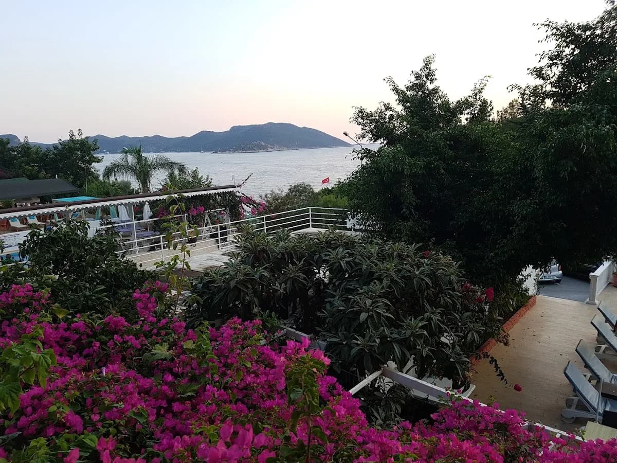Hotel Koza - photo 8