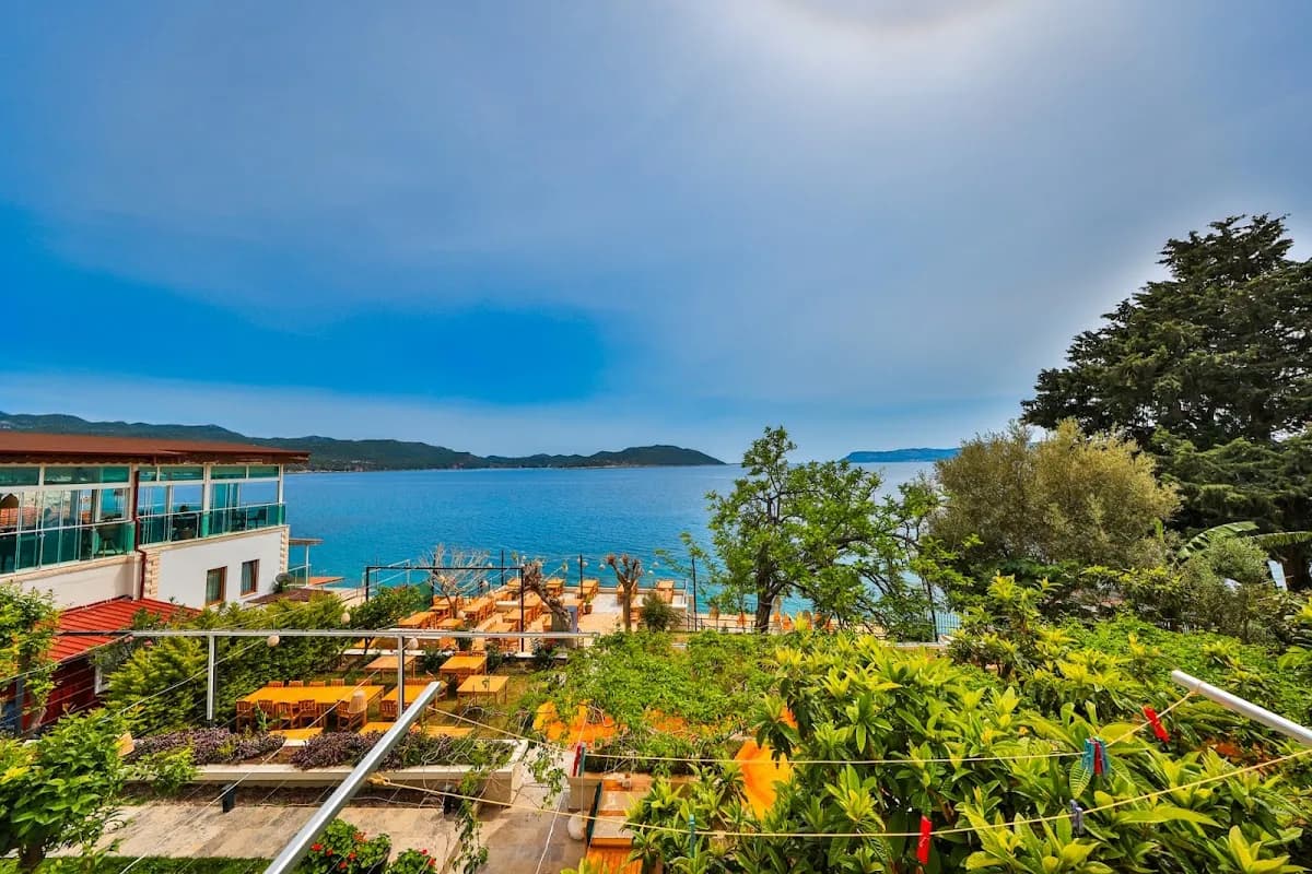 Sardunya Hotel - photo 5