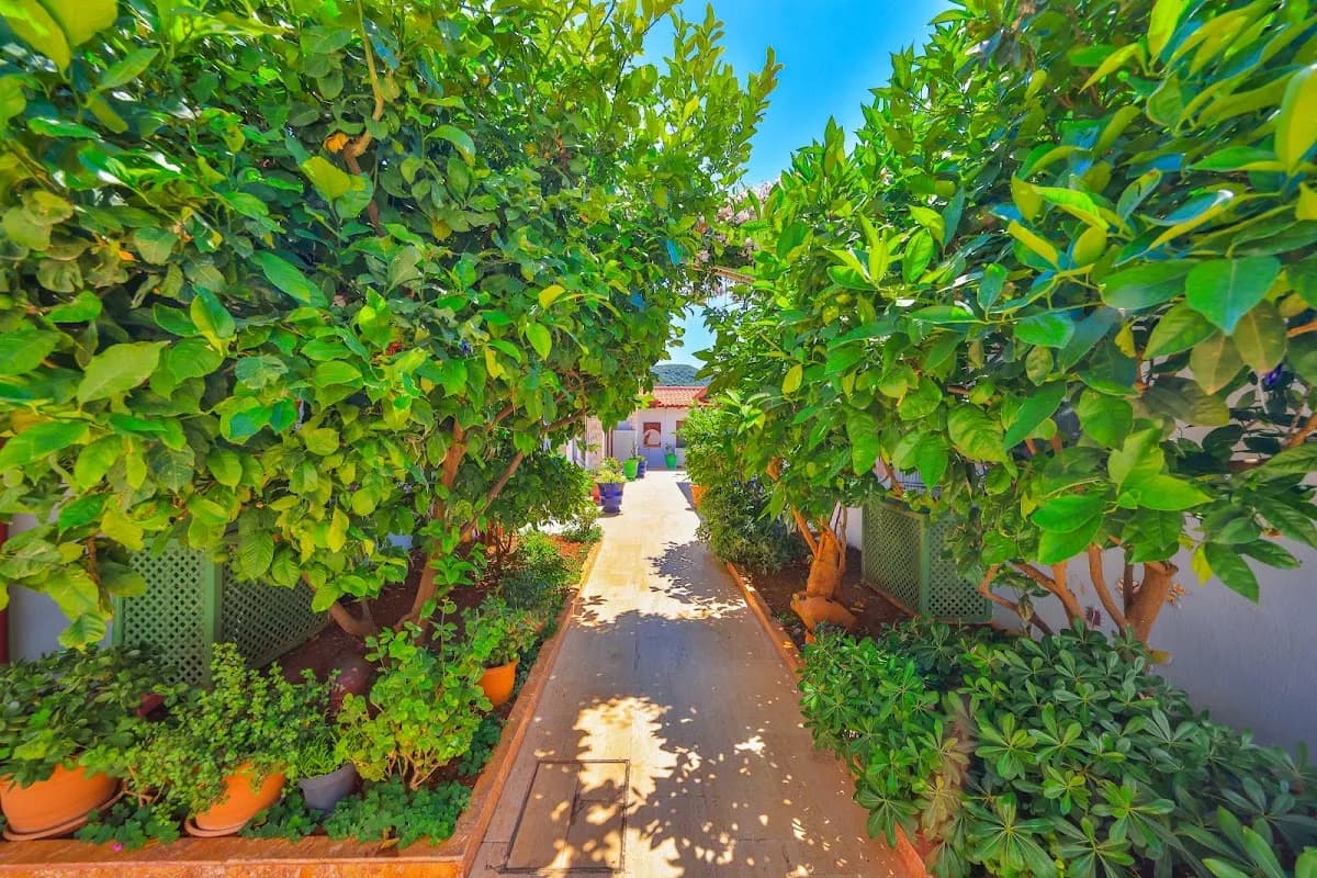 The Kaş Otel - photo 10