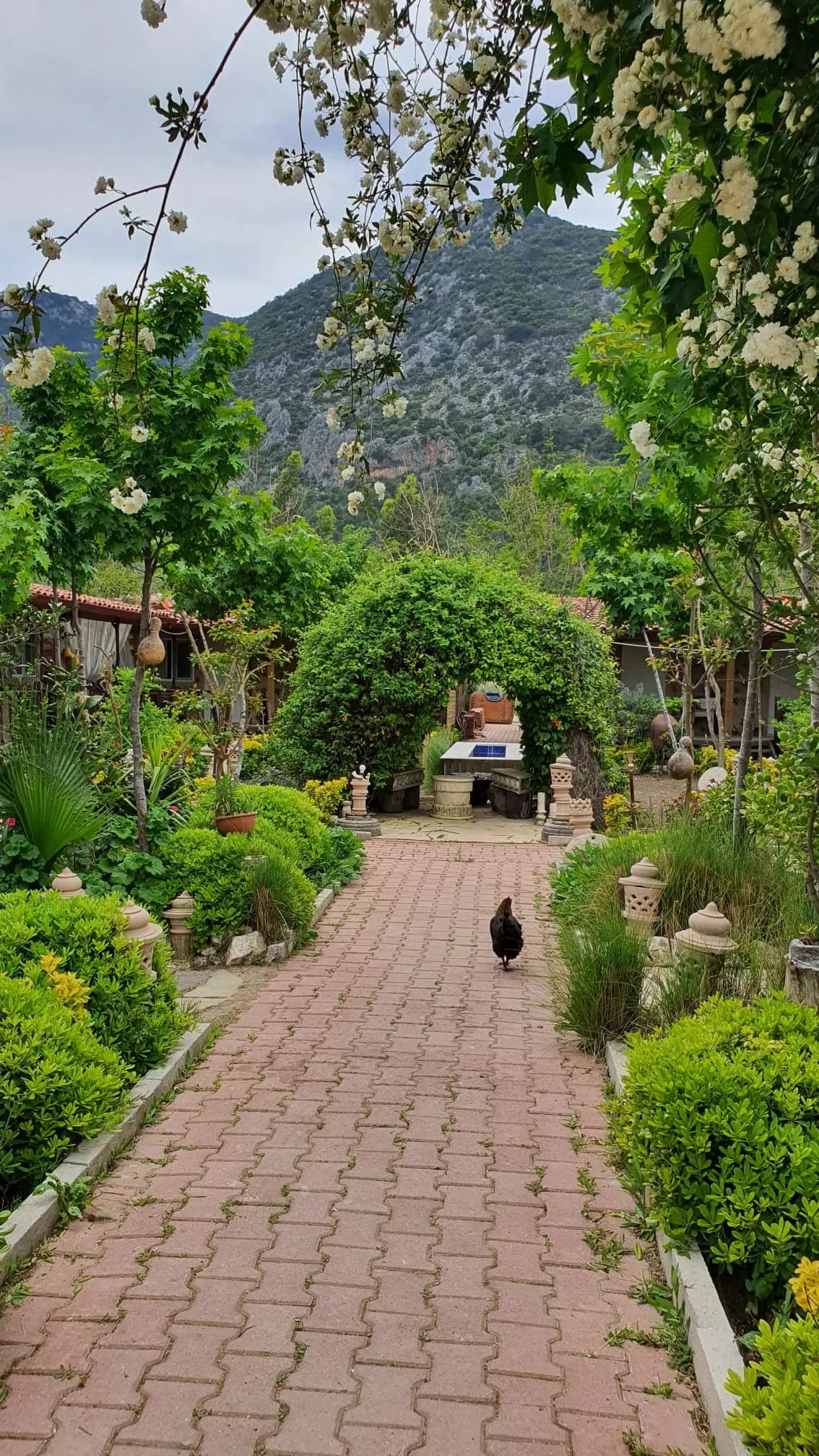 adraHasan Bungalow