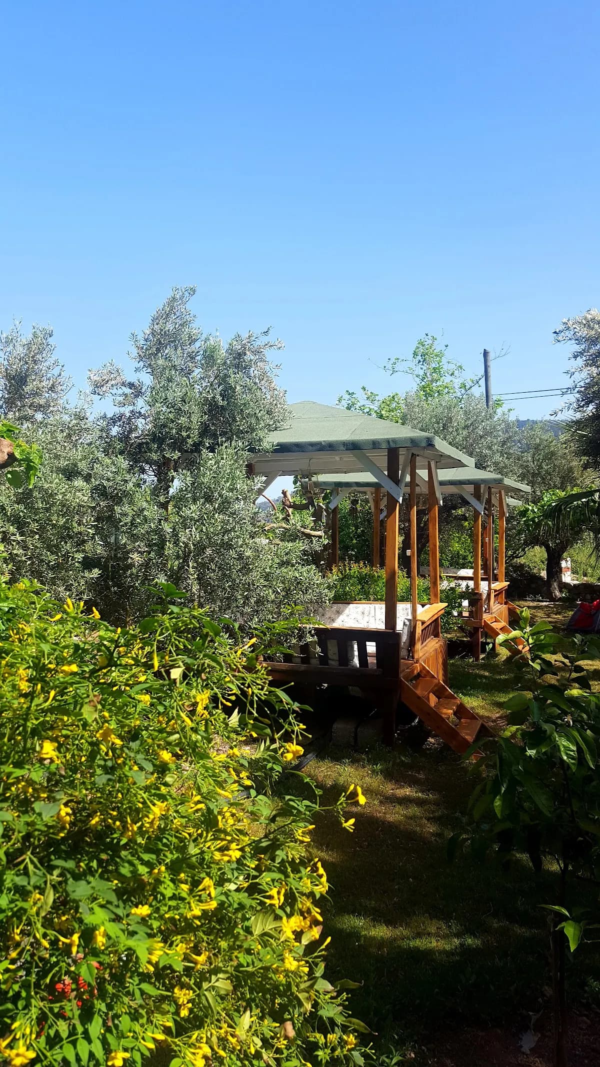 Adrasan Deniz Hotel - photo 6