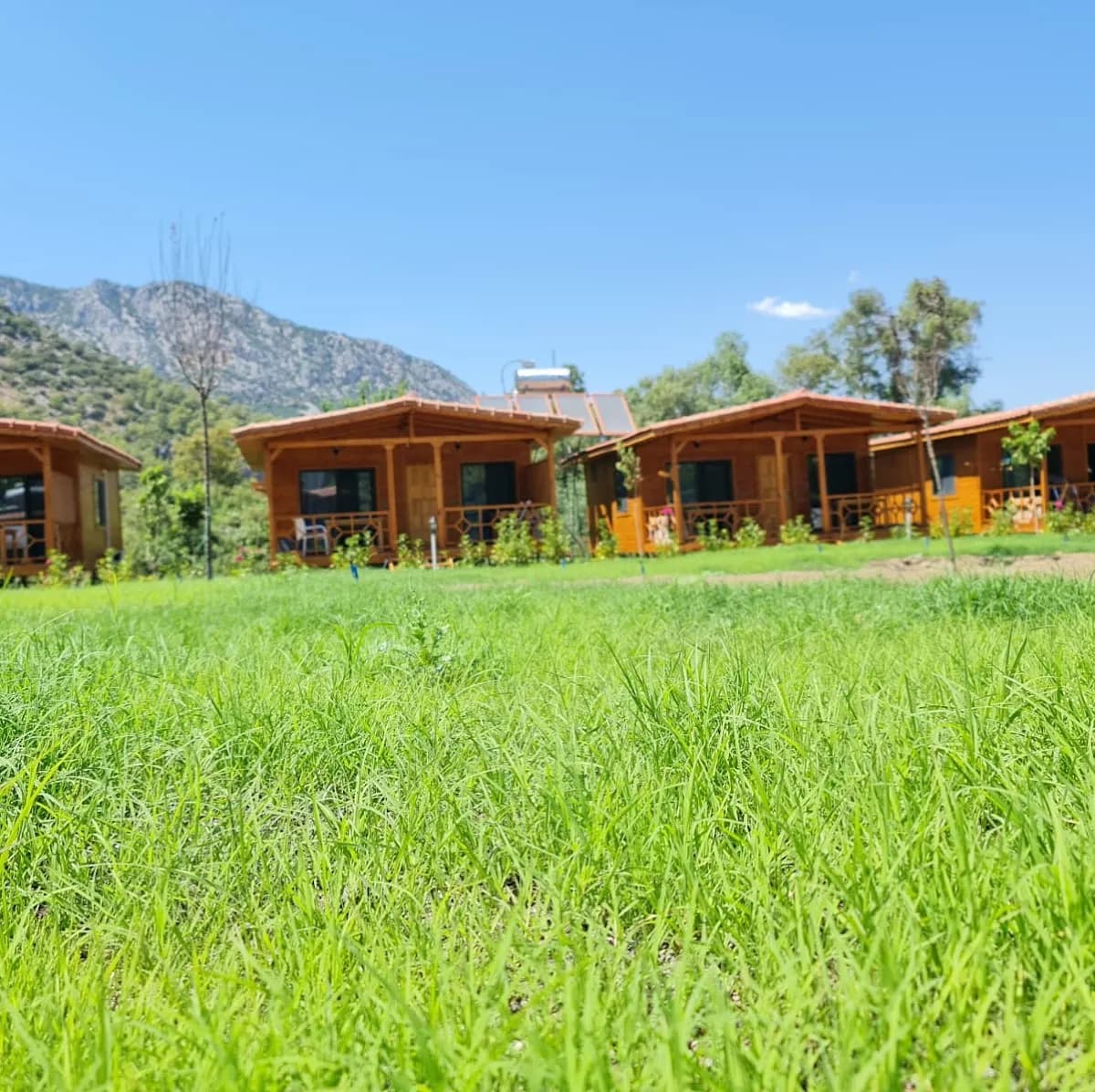 Adrasan Flamingo Bungalov Evleri