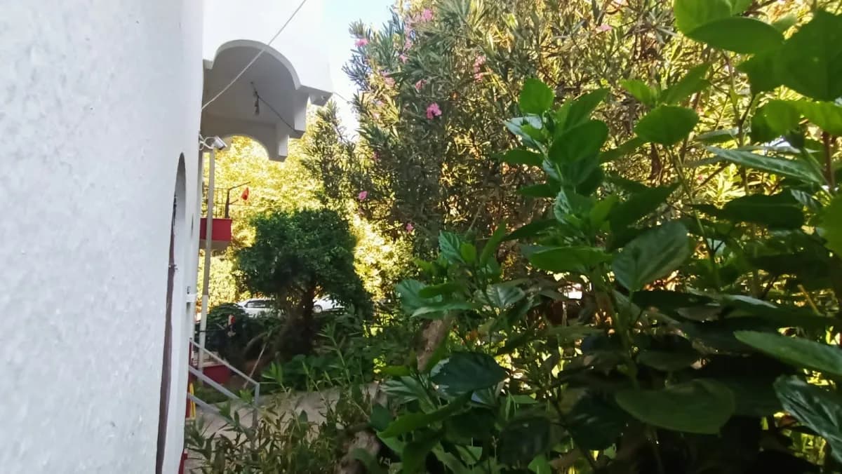 Adrasan Gelidonya Hotel - photo 8
