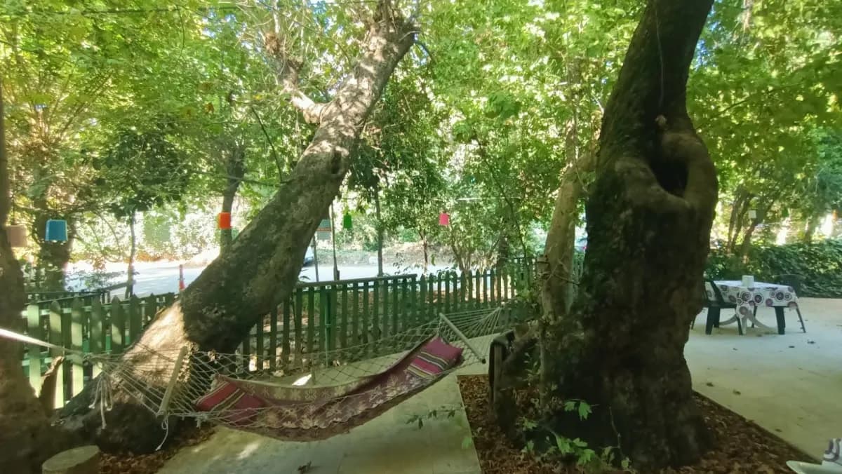 Adrasan Gelidonya Hotel - photo 9