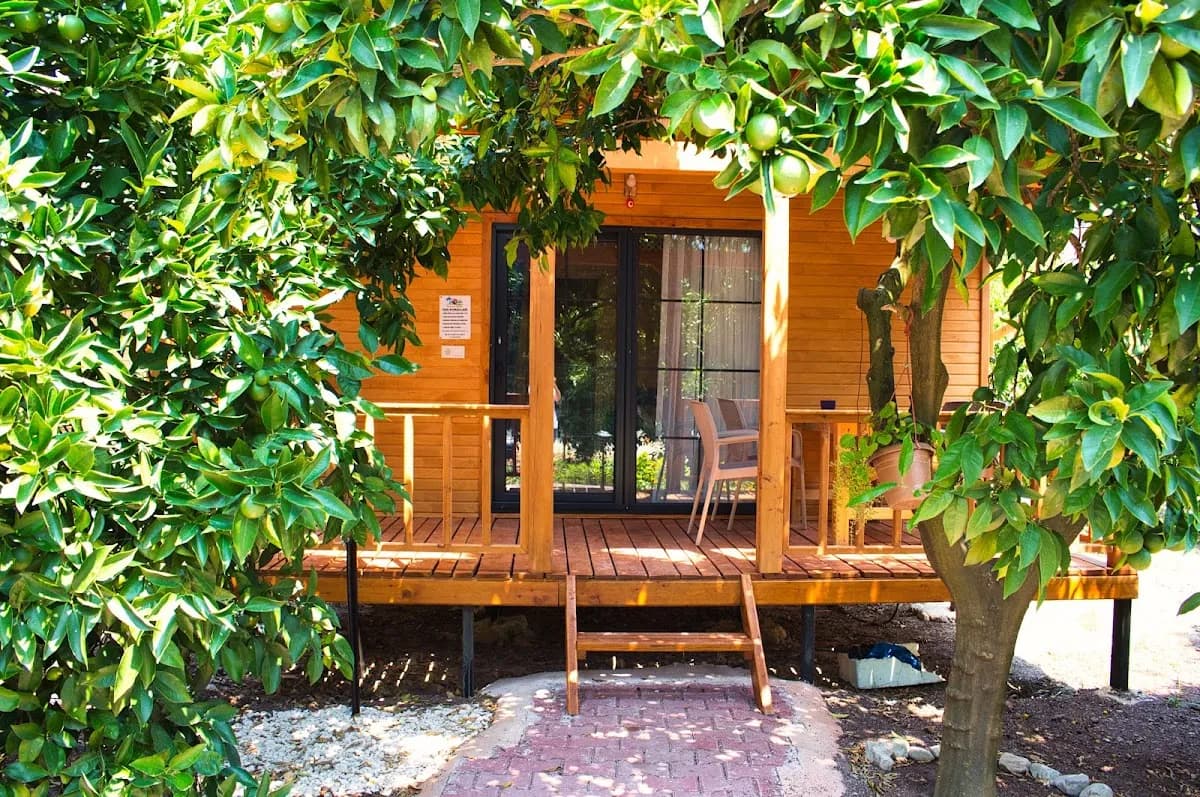 Adrasan Gizemli Bungalov - photo 5