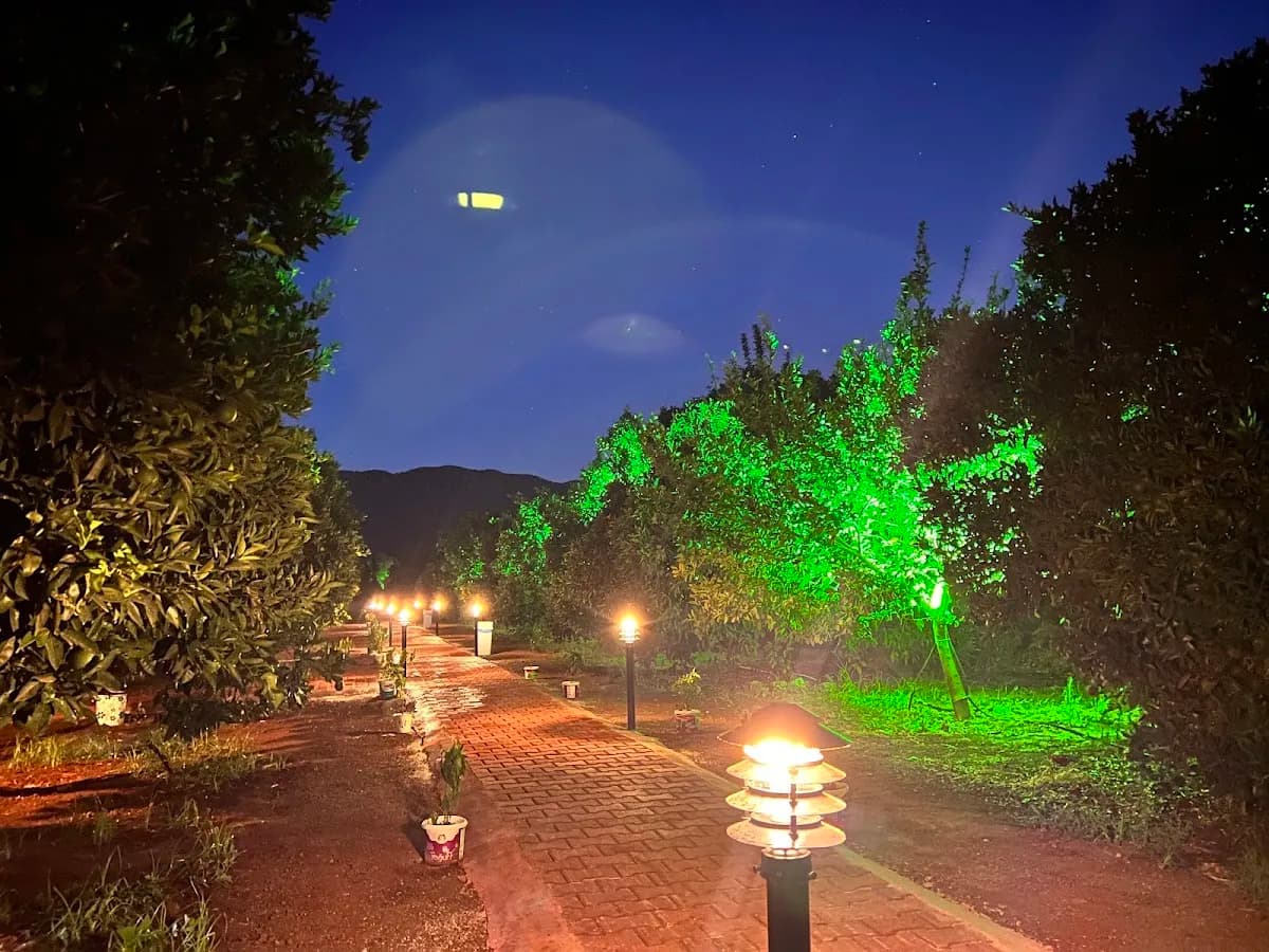 Adrasan Gizemli Bungalov - photo 6