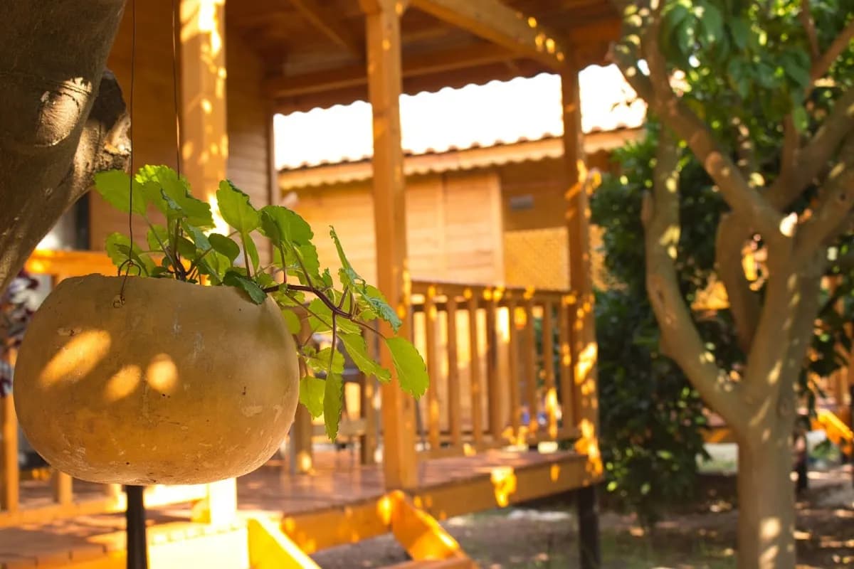 Adrasan Gizemli Bungalov - photo 8