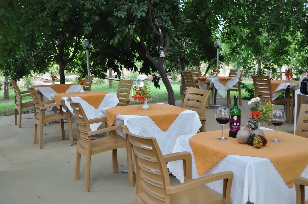 Hotel Narcicegi - photo 9