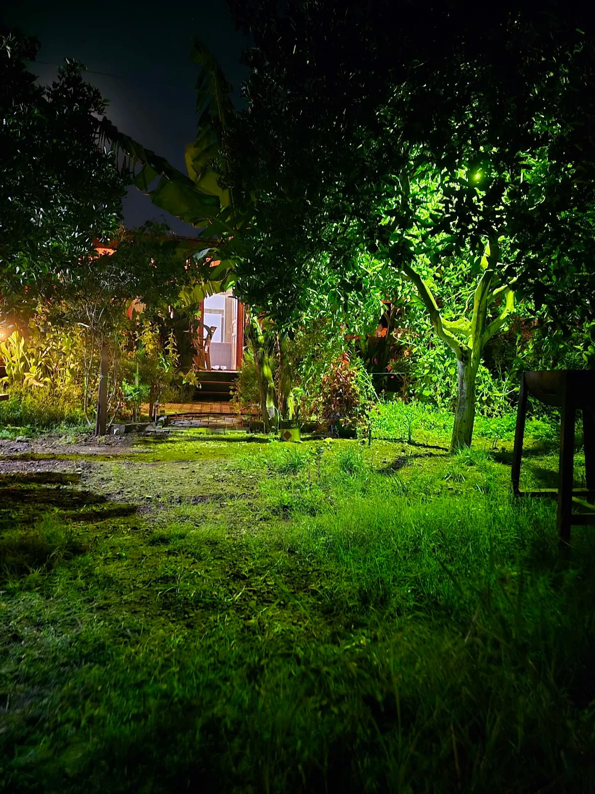 Adrasan sena apart - photo 10