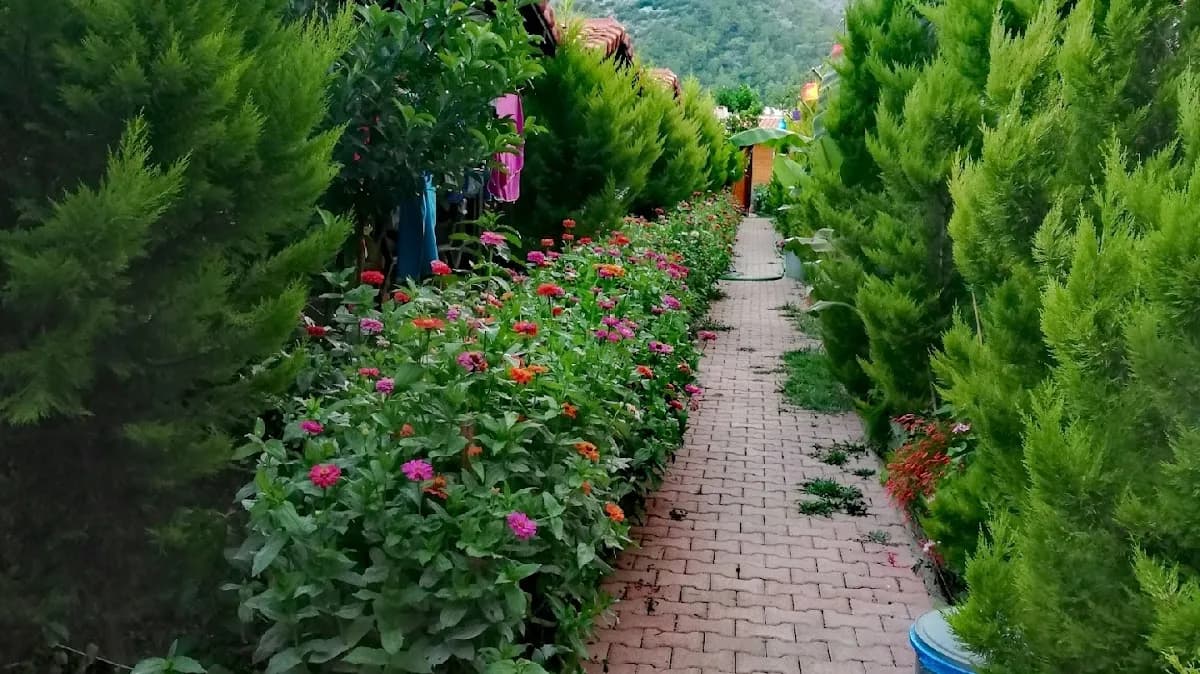 Adrasan Maldivler Bungalow Apart Evleri - photo 4