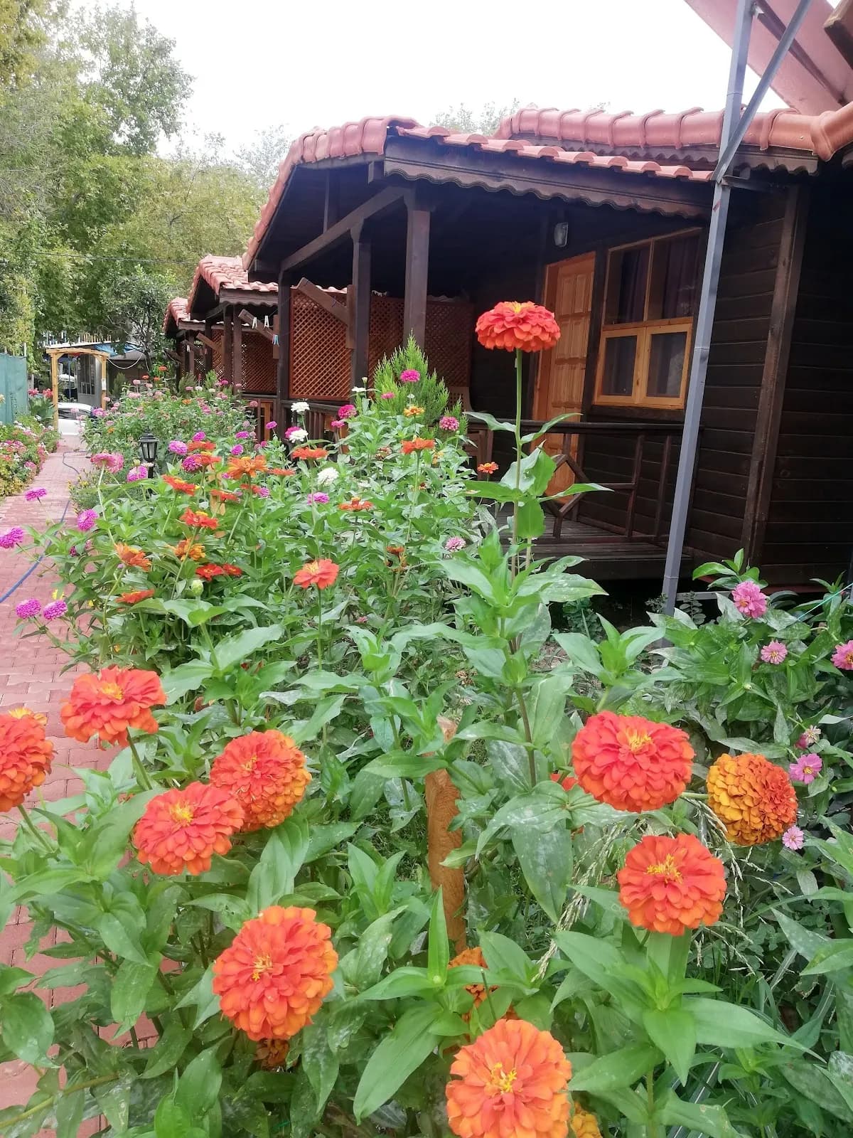 Adrasan Maldivler Bungalow Apart Evleri - photo 7