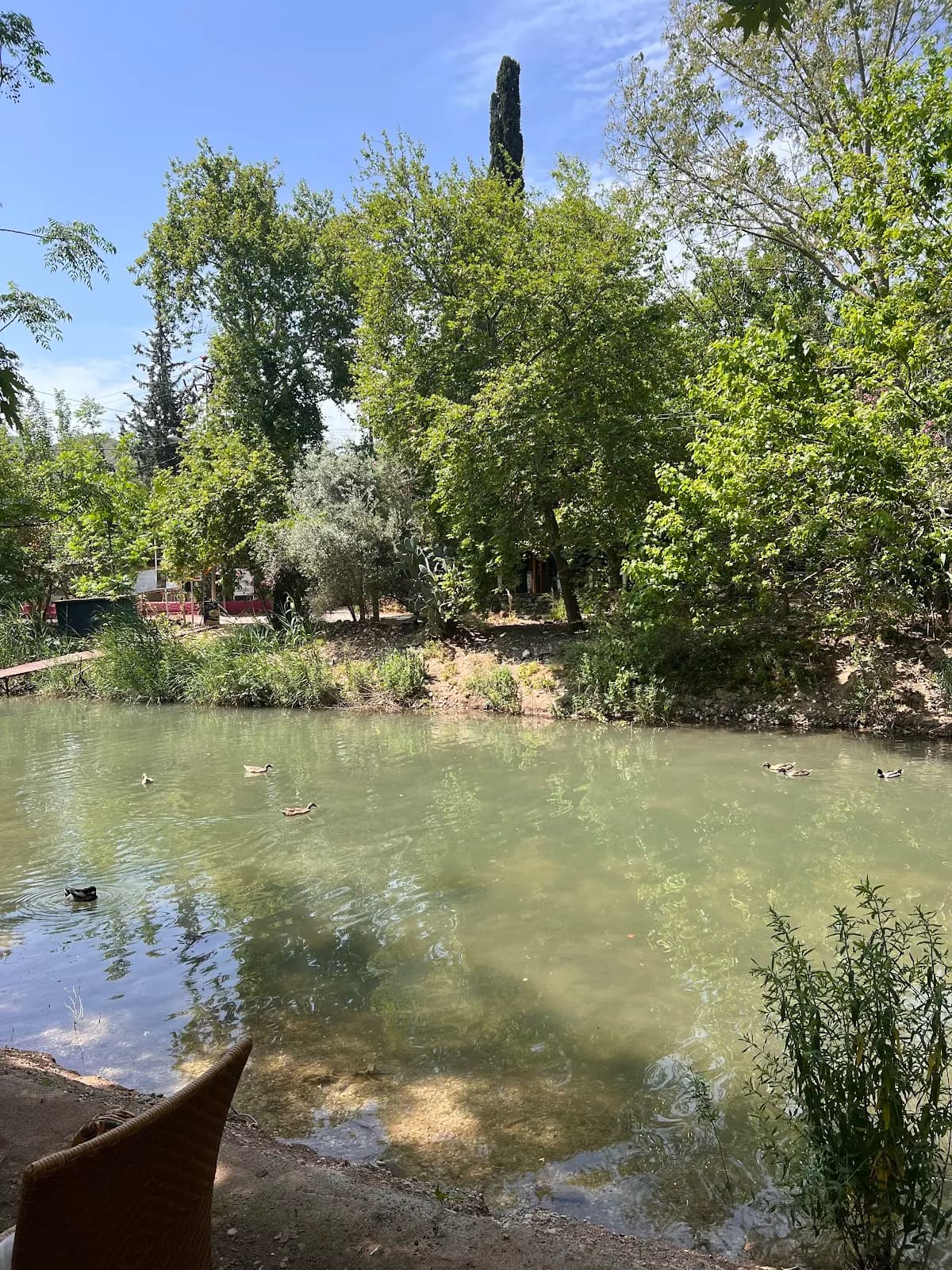 Golden River Hotel - photo 4