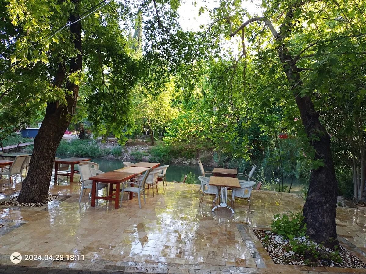 Golden River Hotel - photo 6