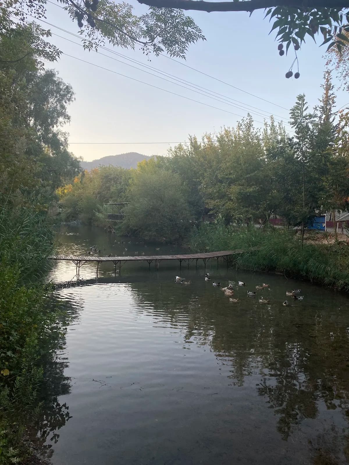 Golden River Hotel - photo 8