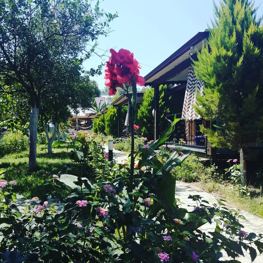 Çoban Yıldızı Bungalov & Apart - photo 3