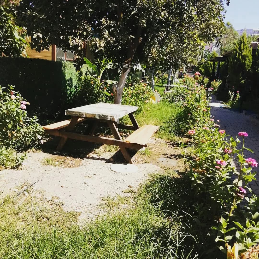 Çoban Yıldızı Bungalov & Apart - photo 4