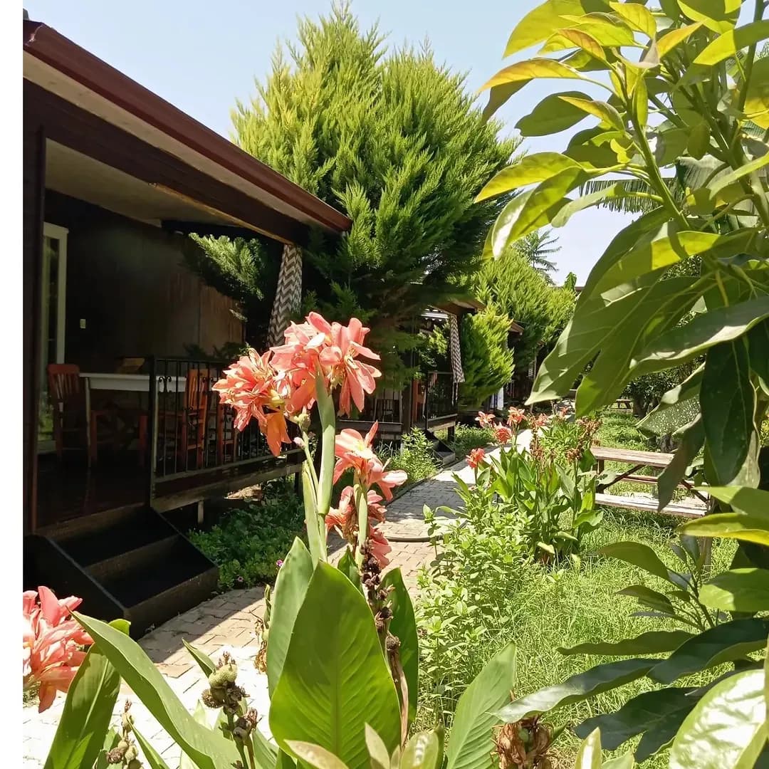 Çoban Yıldızı Bungalov & Apart - photo 5