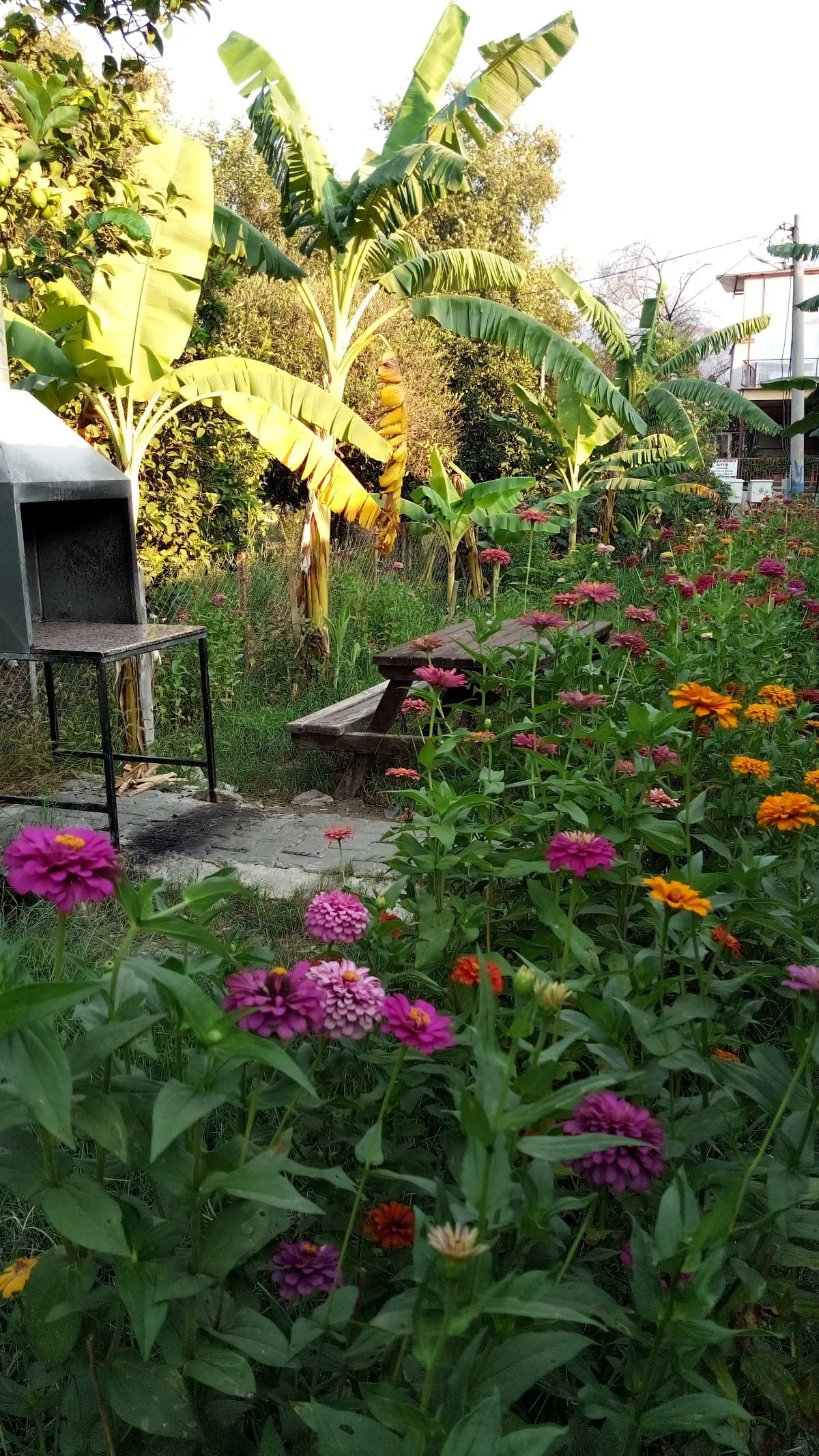 Çoban Yıldızı Bungalov & Apart - photo 7