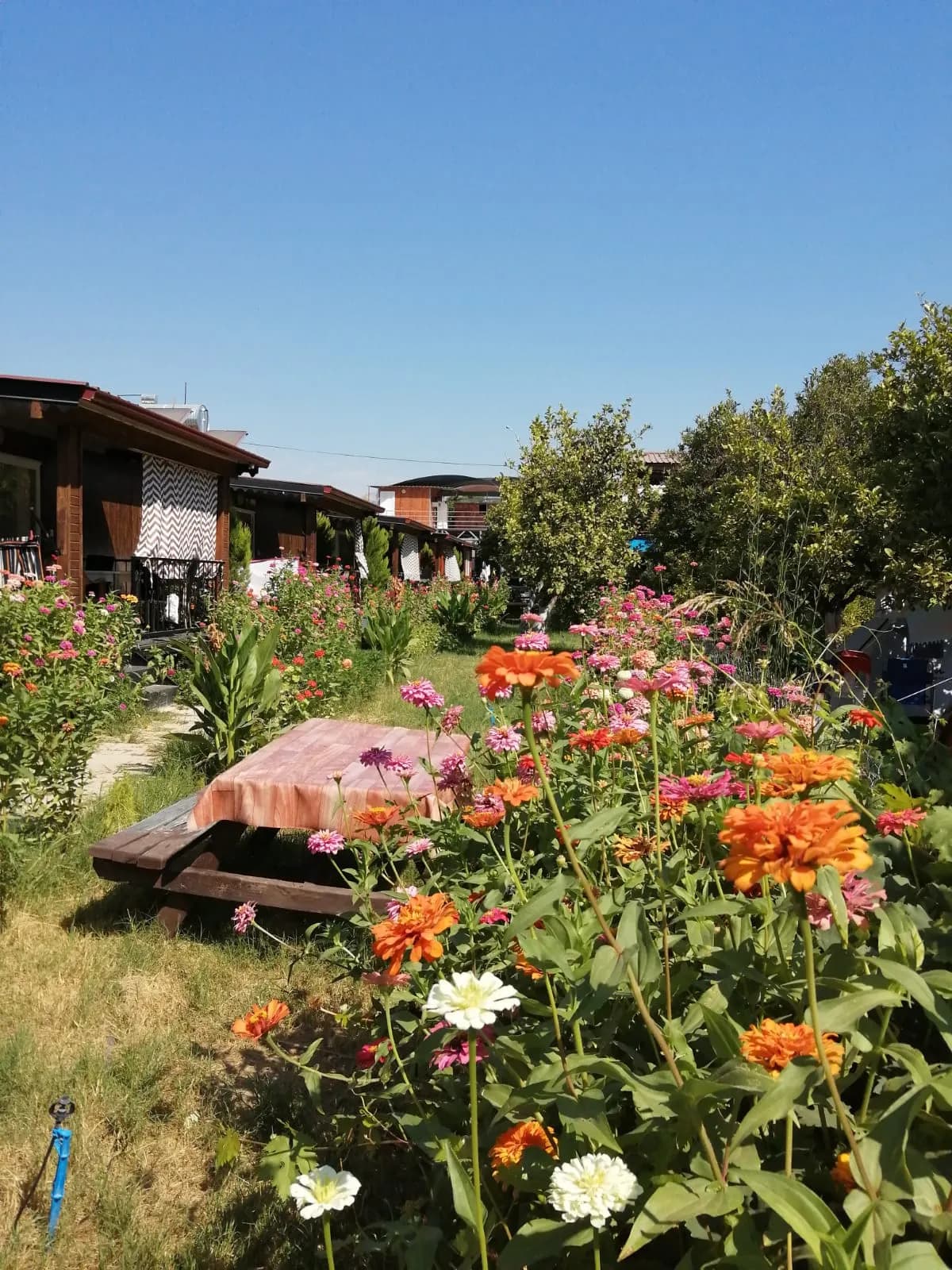 Çoban Yıldızı Bungalov & Apart - photo 9