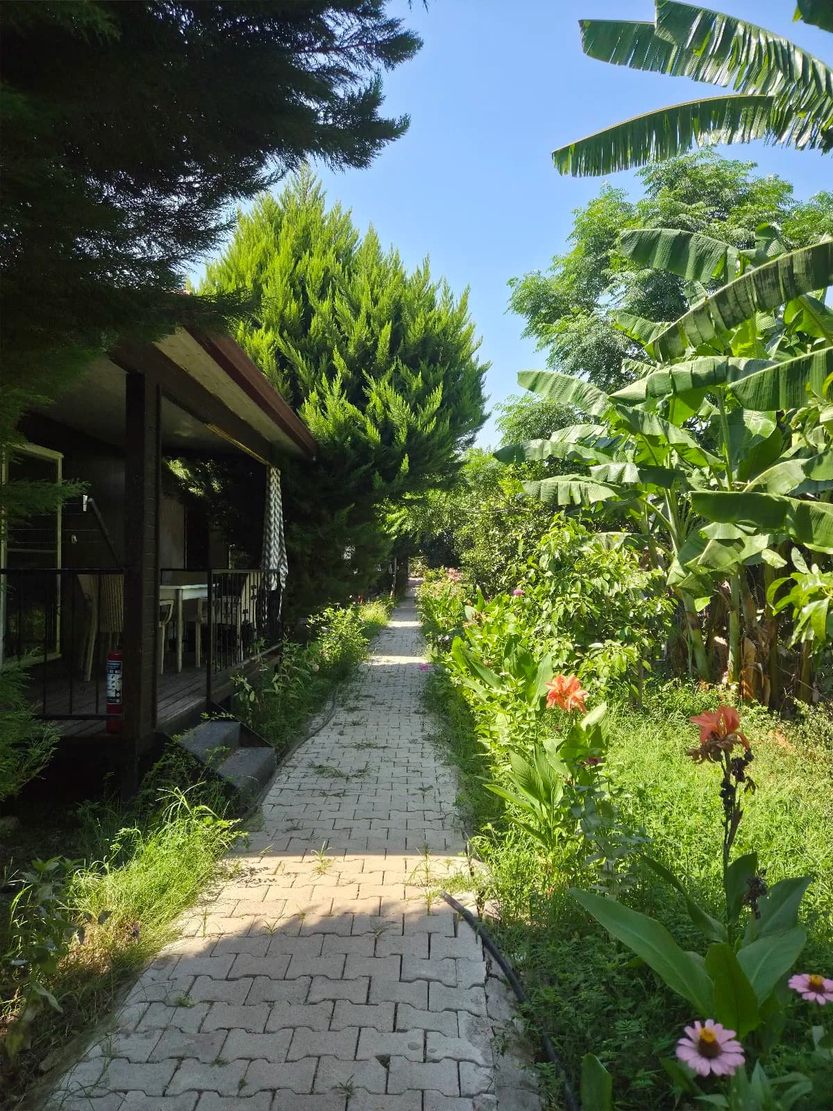 Çoban Yıldızı Bungalov & Apart - photo 10