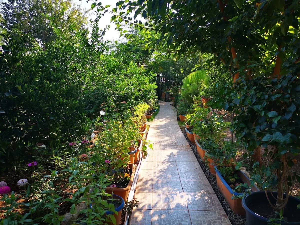 Erenler Otel - photo 5