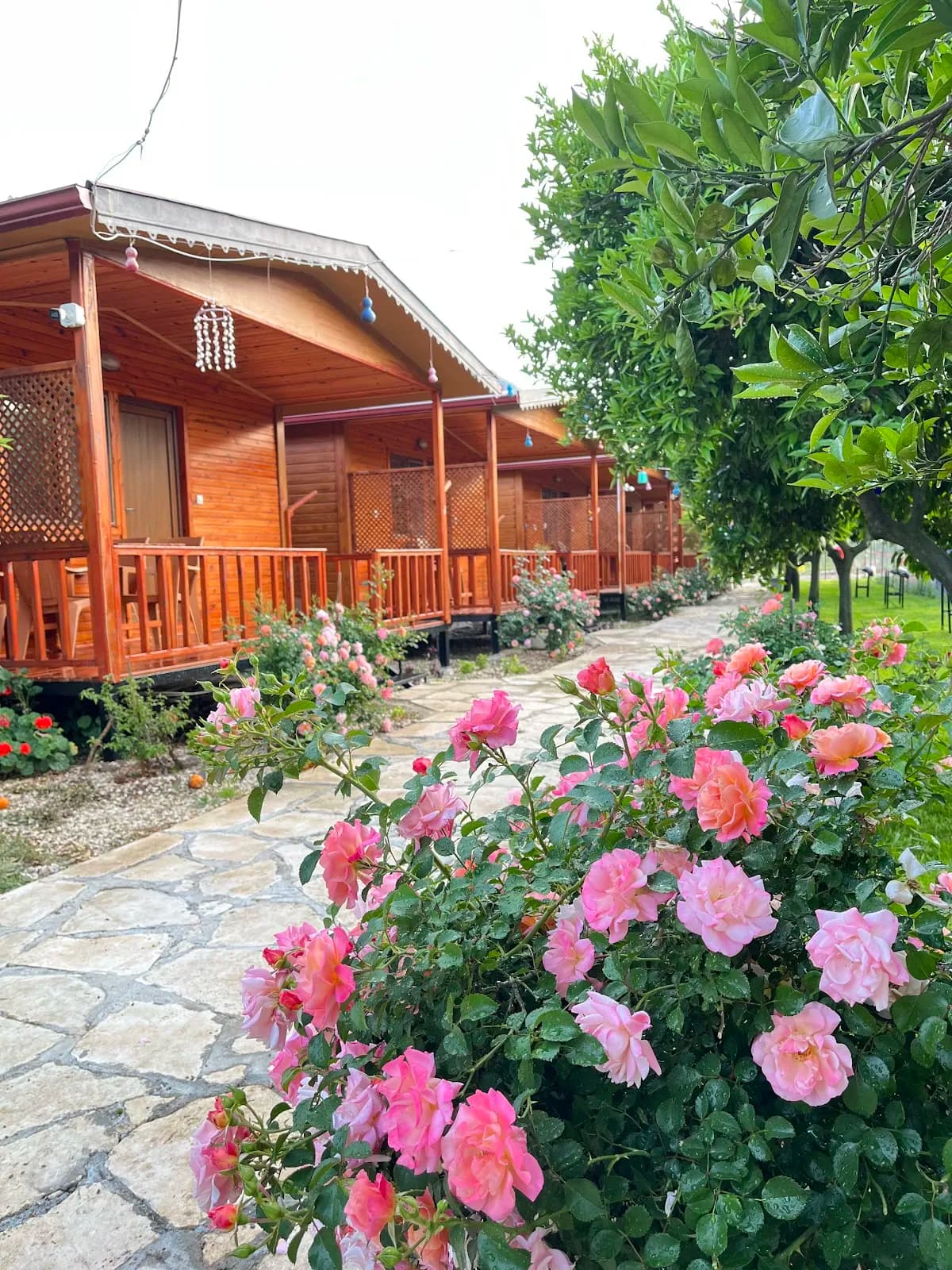 Nesli Apart bungalow - photo 4