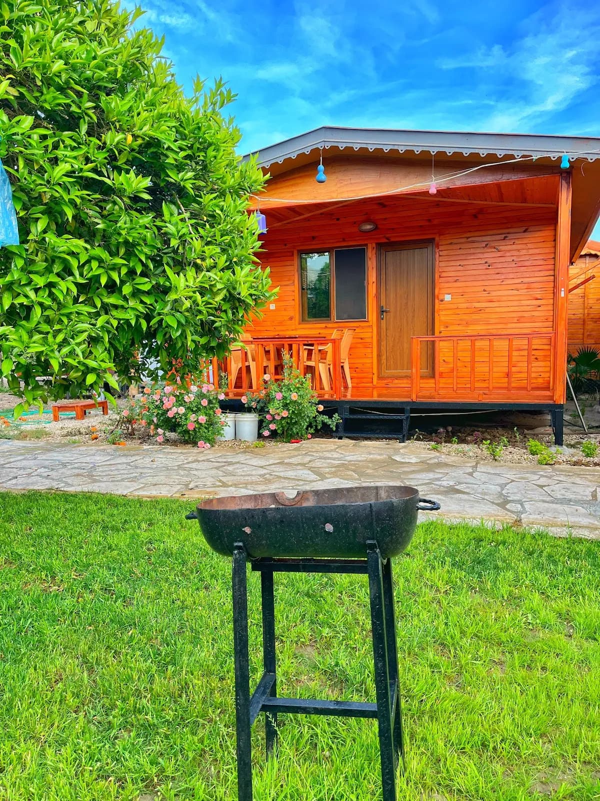 Nesli Apart bungalow - photo 5