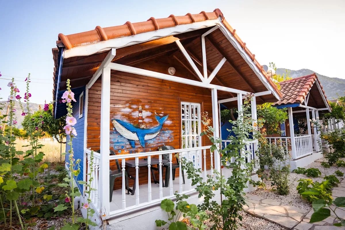 Orange Garden - photo 4