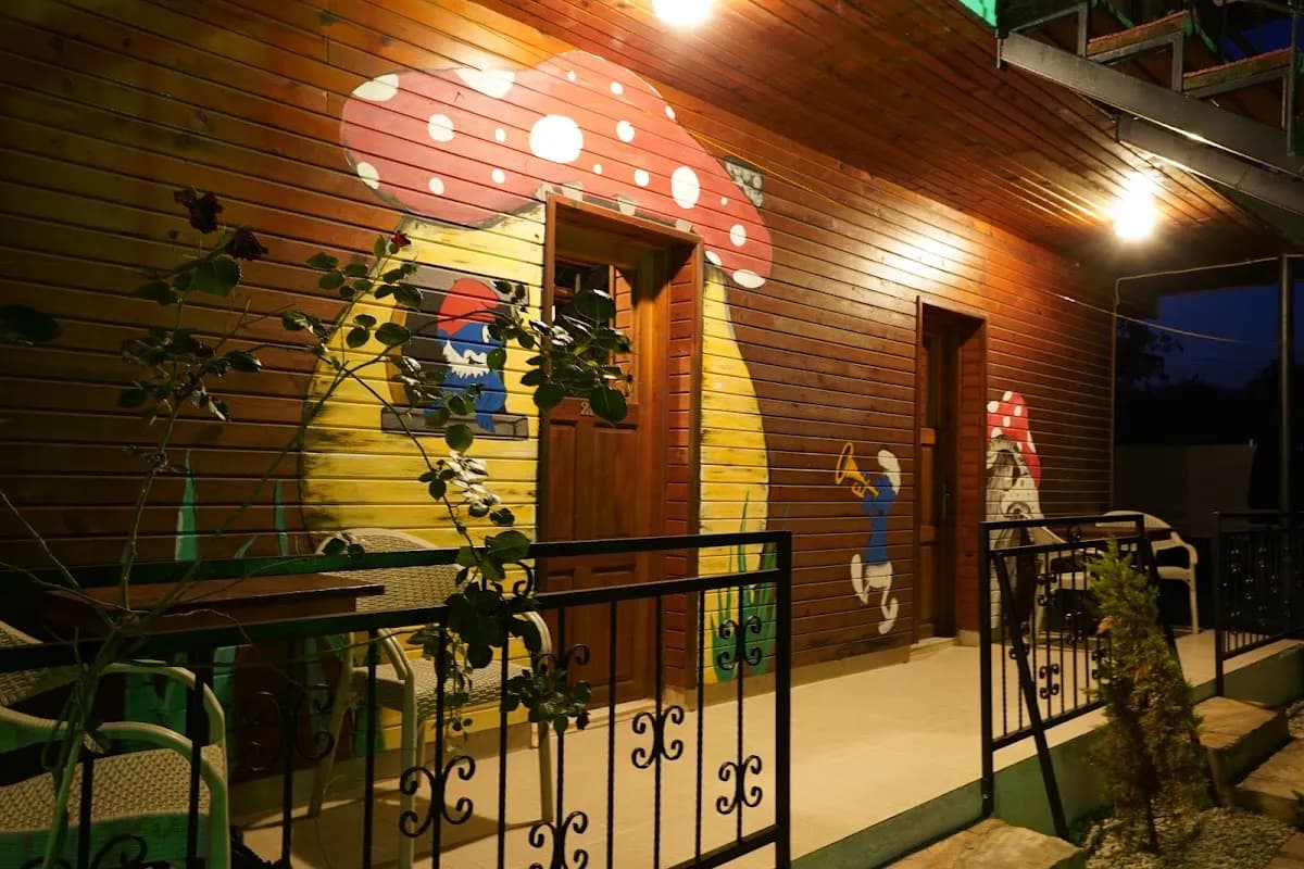 Orange Garden - photo 6