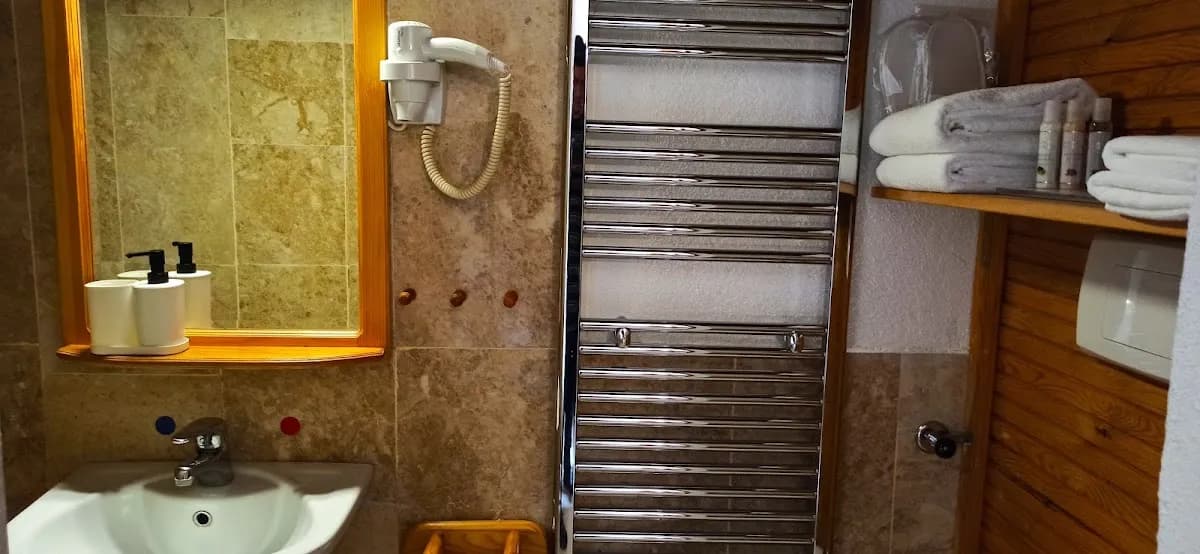 Swiss Eviniz Hotel - photo 4