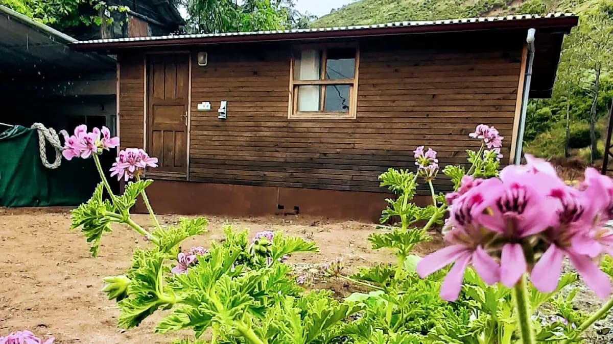 Silahcılar Apart Pansiyon Bungalov - photo 6