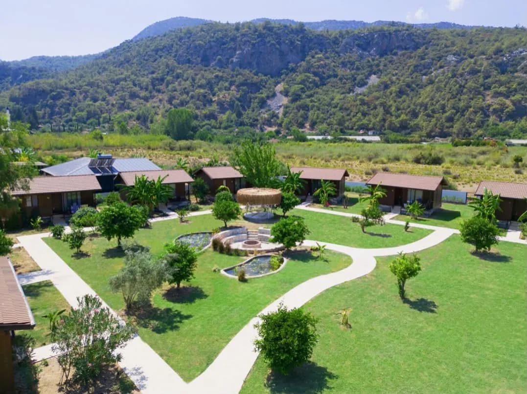 Alicra Hotel Çıralı - photo 4