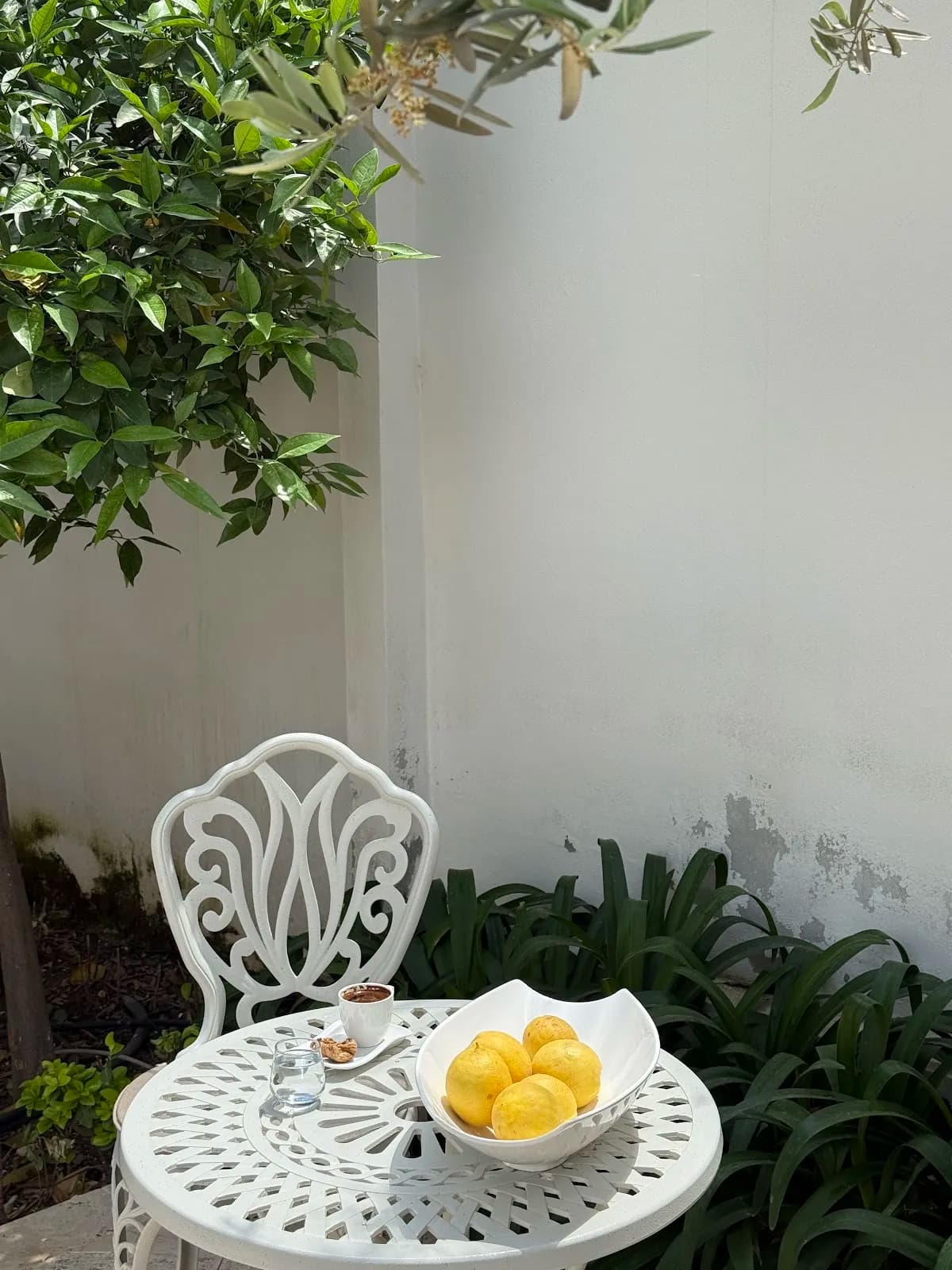 Alicra Hotel Çıralı - photo 10