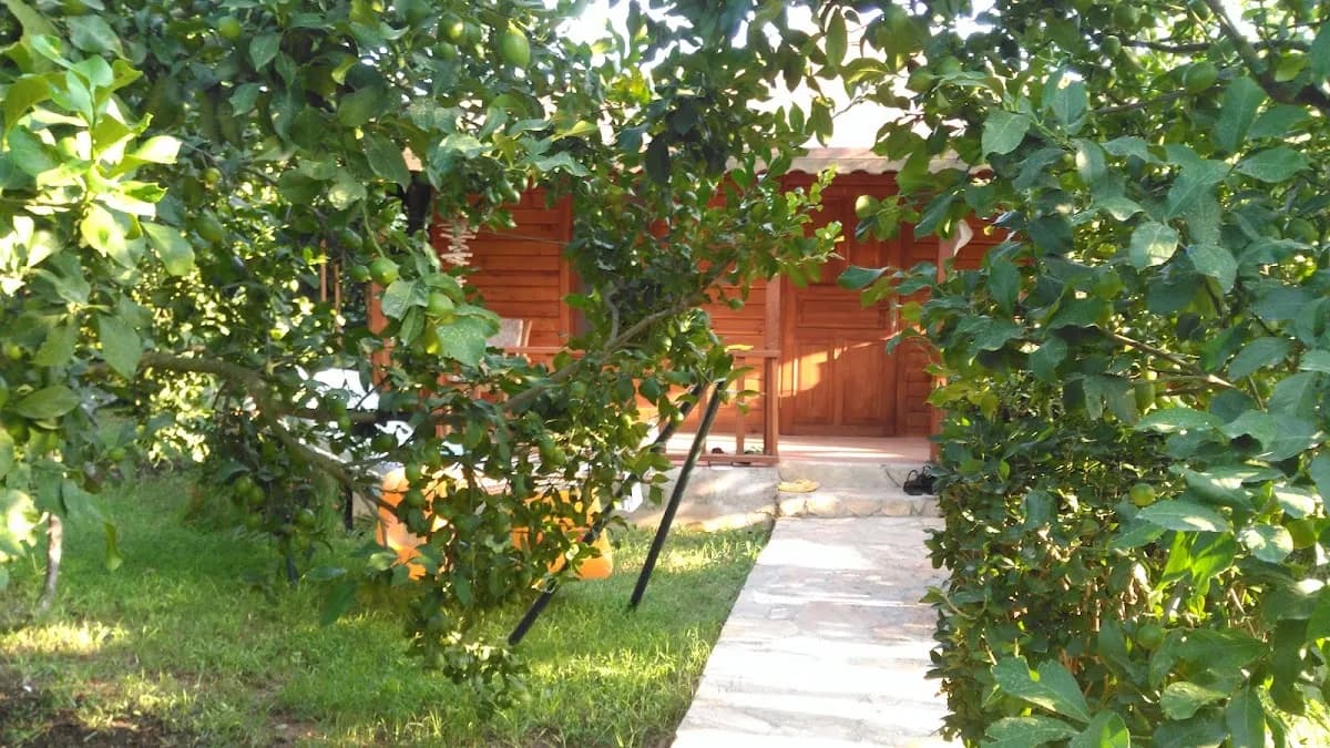 Almira Bungalow - photo 4
