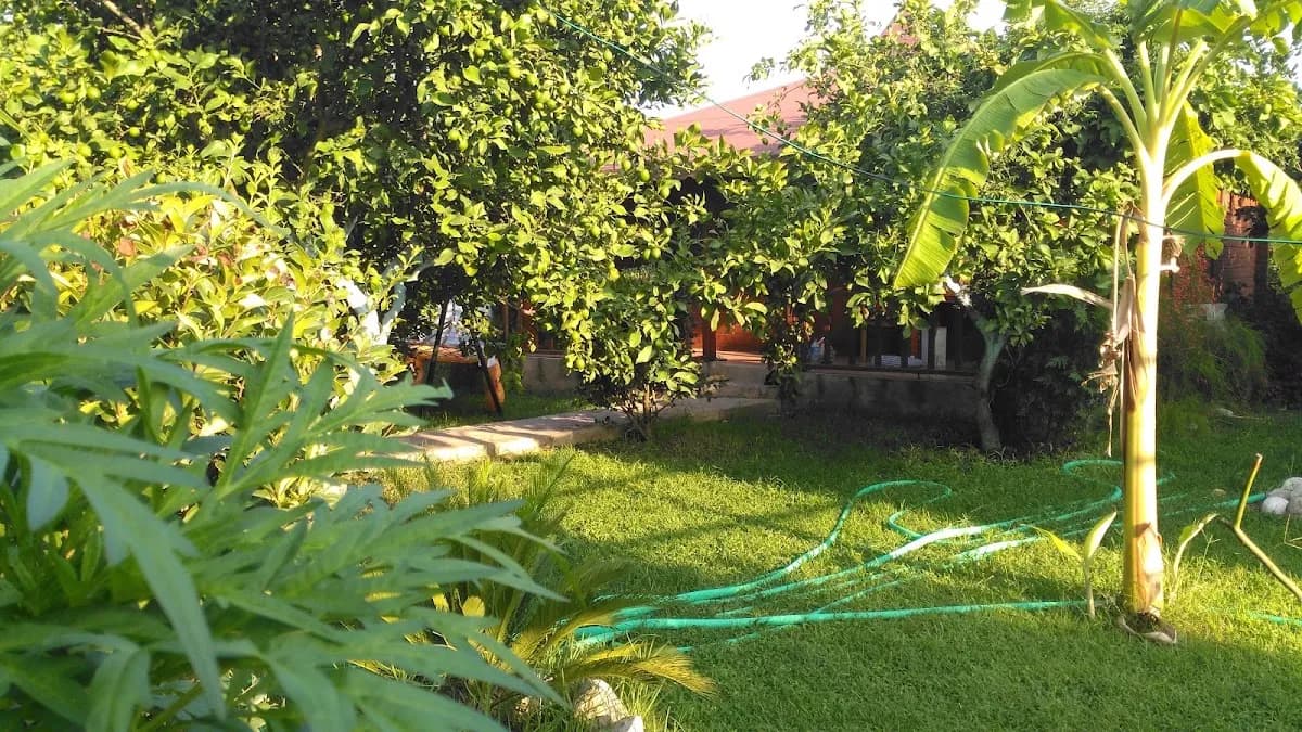 Almira Bungalow - photo 5