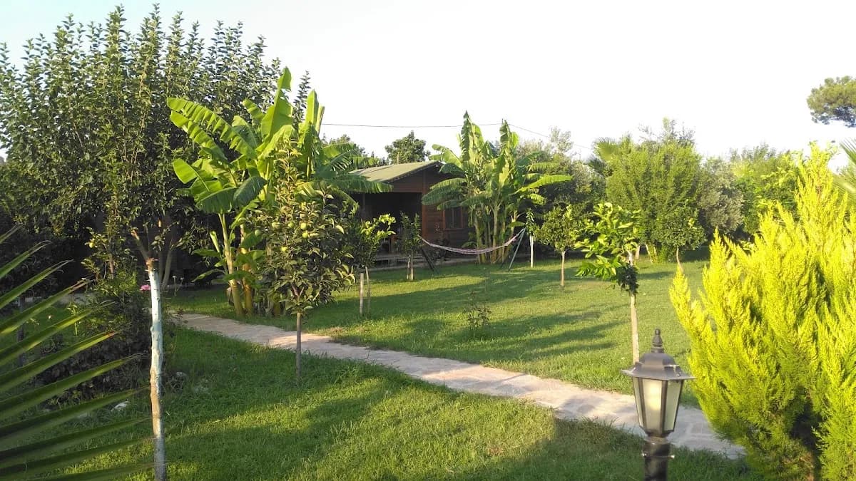 Almira Bungalow - photo 7