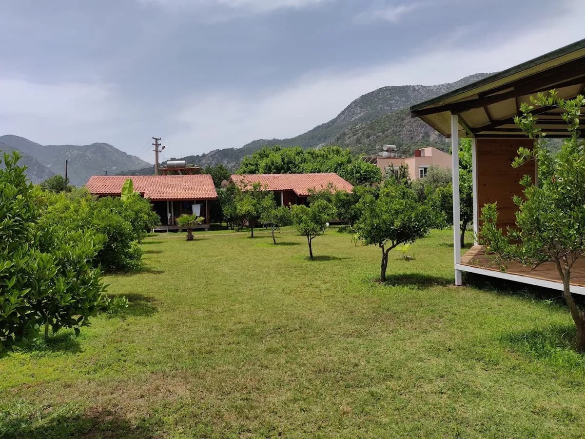 Almira Bungalow - photo 8