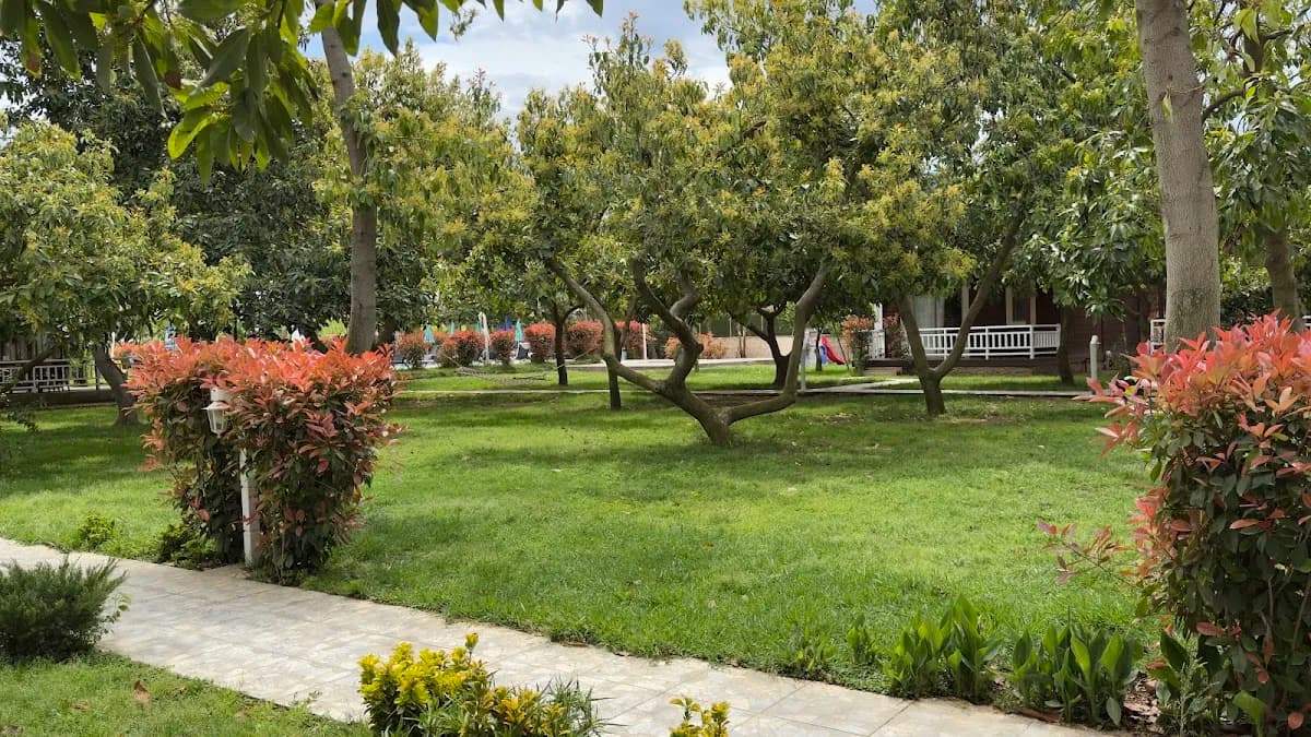 Apella Hotel - photo 9