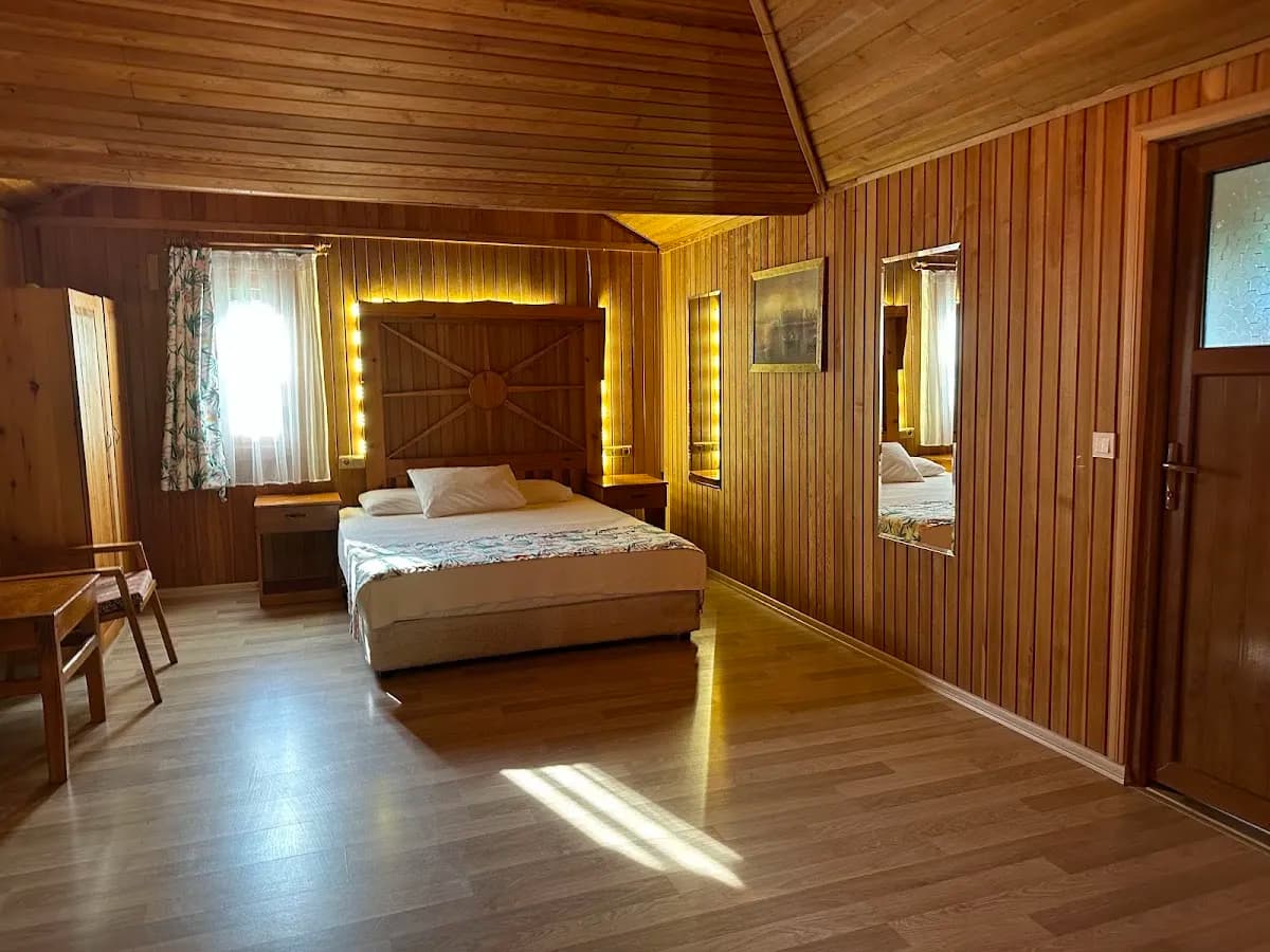 Arcadia Hotel - photo 2