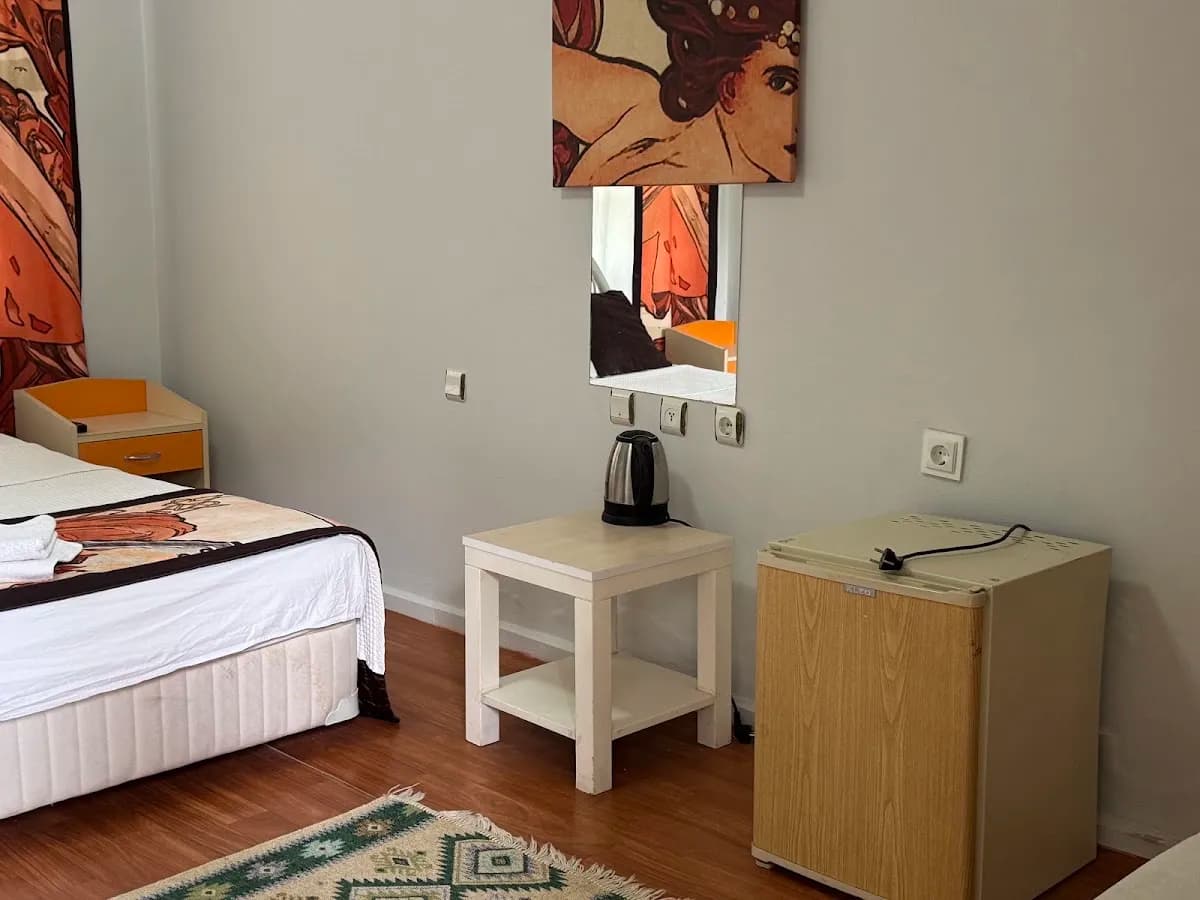 Artemis Hotel - photo 8